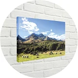 Wall Art