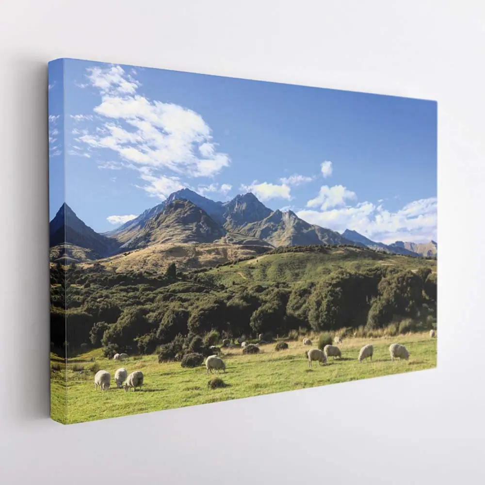 Canvas